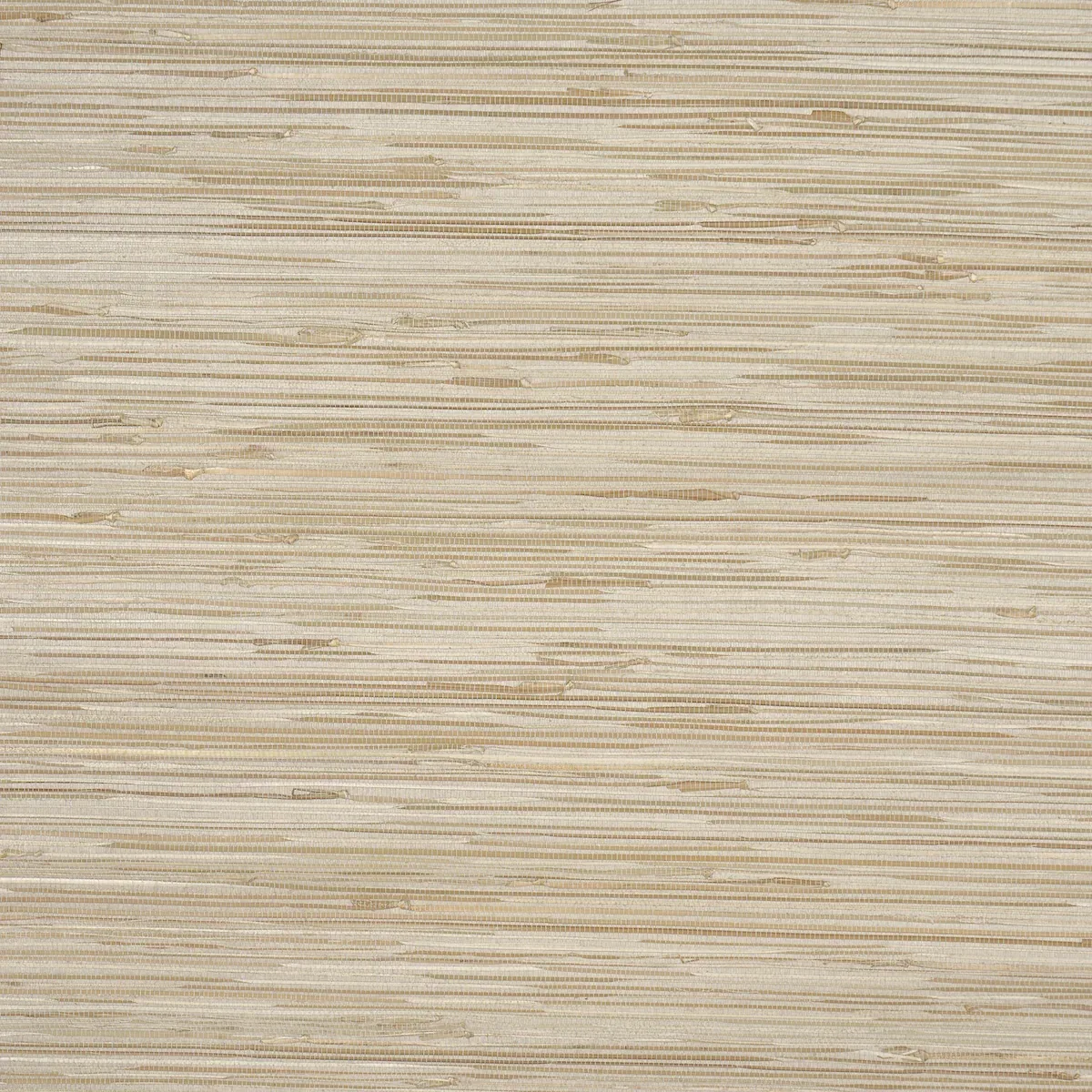 NAMI RUSHCLOTH - SLATE Schumacher Wallpaper | Wallpaper Twin NAMI RUSHCLOTH SLATE Schumacher Wallpaper wallpaper - SKU 5002862