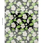 NASTURTIUM - NOIR Schumacher Wallpaper | Wallpaper Twins NASTURTIUM NOIR Schumacher Wallpaper wallpaper - SKU 5010470