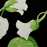 NASTURTIUM - NOIR Schumacher Wallpaper | Wallpaper Twins NASTURTIUM NOIR Schumacher Wallpaper wallpaper - SKU 5010470