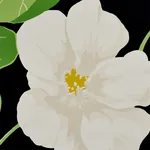 NASTURTIUM - NOIR Schumacher Wallpaper | Wallpaper Twins NASTURTIUM NOIR Schumacher Wallpaper wallpaper - SKU 5010470