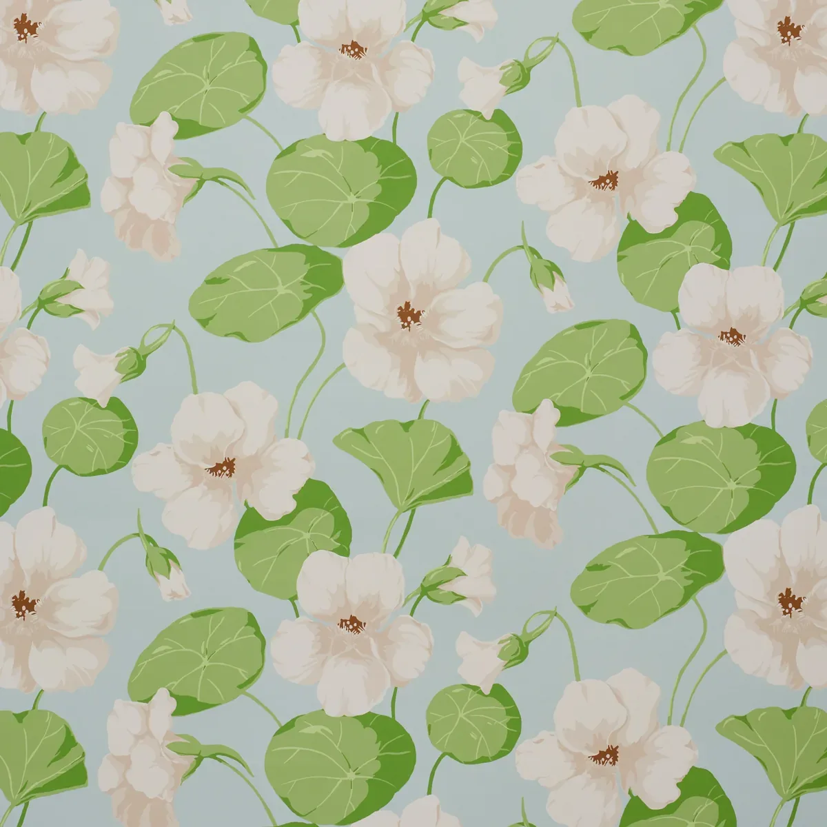 5010471 | NASTURTIUM – SKY