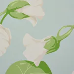 NASTURTIUM - SKY Schumacher Wallpaper | Wallpaper Twins NASTURTIUM SKY Schumacher Wallpaper wallpaper - SKU 5010471