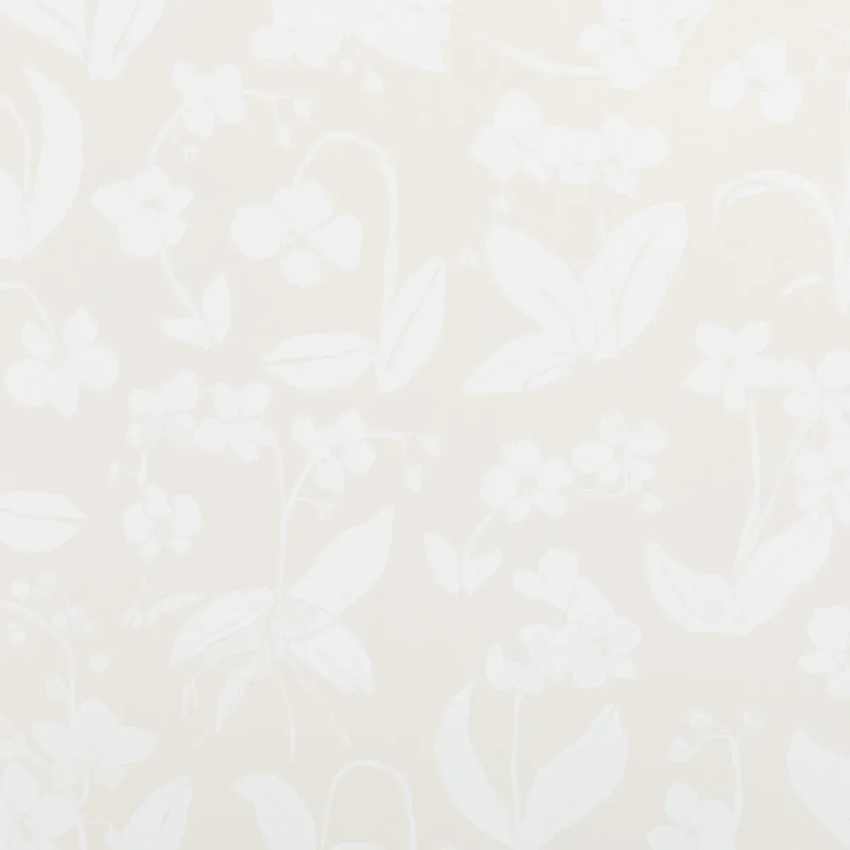ORCHIDS HAVE DREAMS LIGHT NEUTRAL Schumacher Wallpaper wallpaper - SKU 5014102