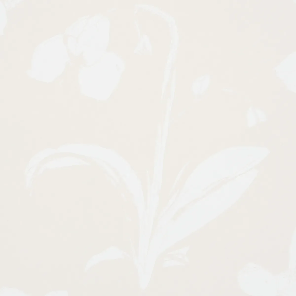 ORCHIDS HAVE DREAMS - LIGHT NEUTRAL Schumacher Wallpaper | W ORCHIDS HAVE DREAMS LIGHT NEUTRAL Schumacher Wallpaper wallpaper - SKU 5014102