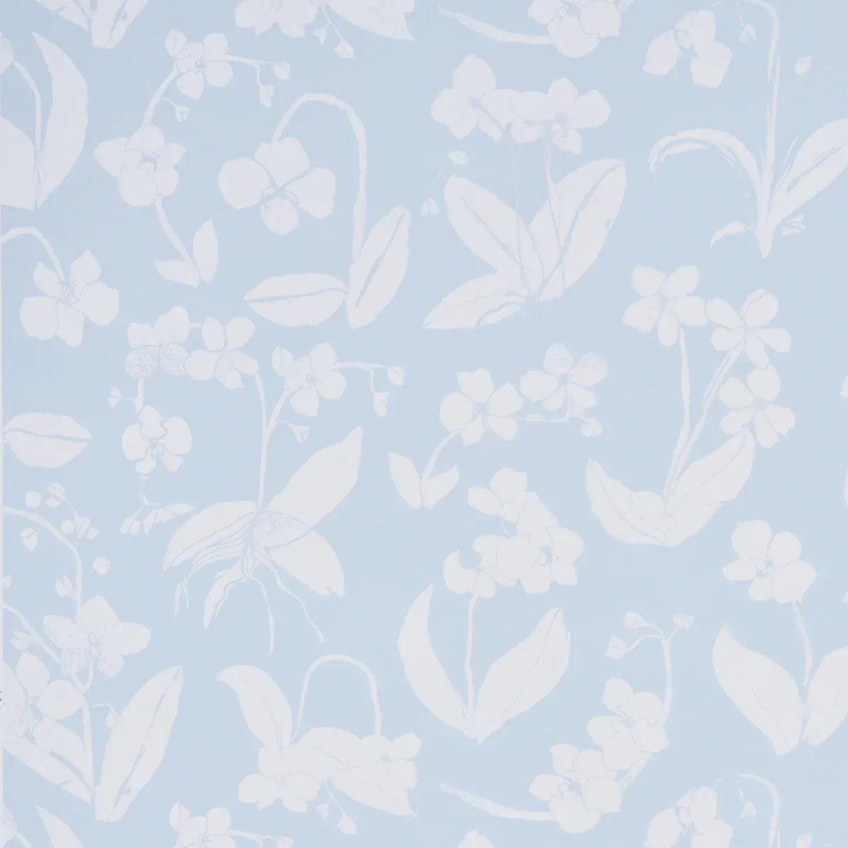5014101 | ORCHIDS HAVE DREAMS – SKY