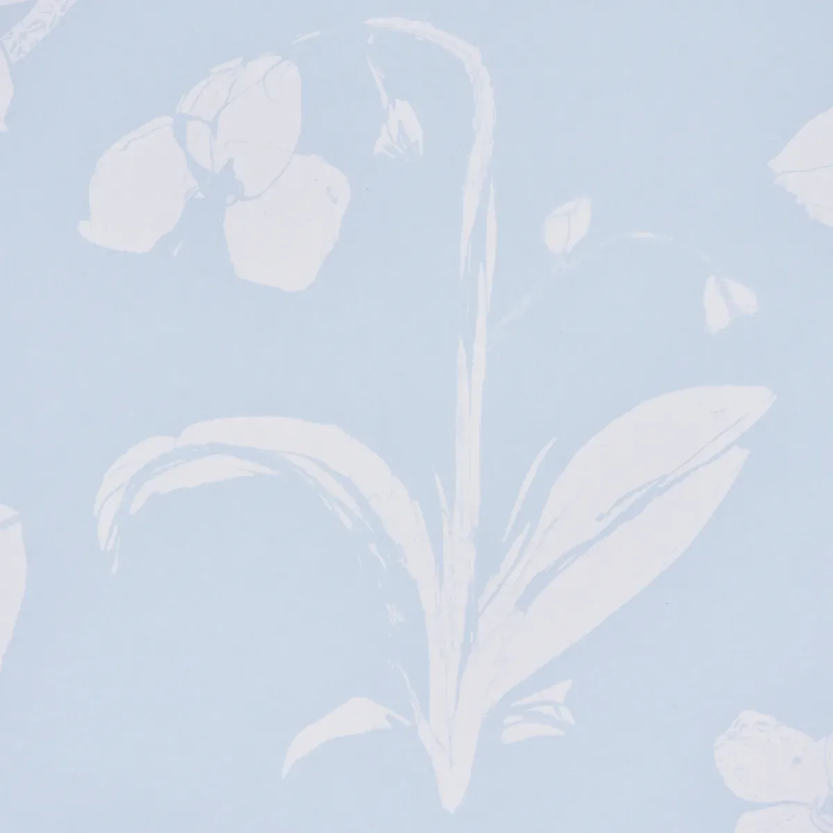 ORCHIDS HAVE DREAMS - SKY Schumacher Wallpaper | Wallpaper T ORCHIDS HAVE DREAMS SKY Schumacher Wallpaper wallpaper - SKU 5014101