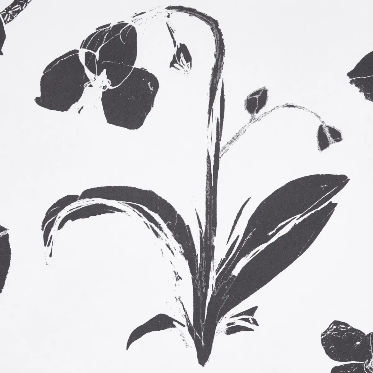 ORCHIDS HAVE DREAMS - SOFT BLACK Schumacher Wallpaper | Wall ORCHIDS HAVE DREAMS SOFT BLACK Schumacher Wallpaper wallpaper - SKU 5014100