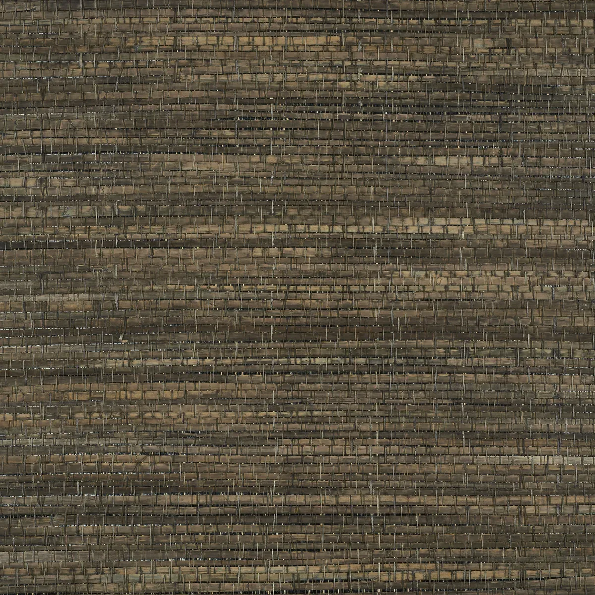5010261 | PALM WEAVE – BARK