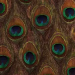 PEACOCK ORE PEACOCK Schumacher Wallpaper wallpaper - SKU 5008370