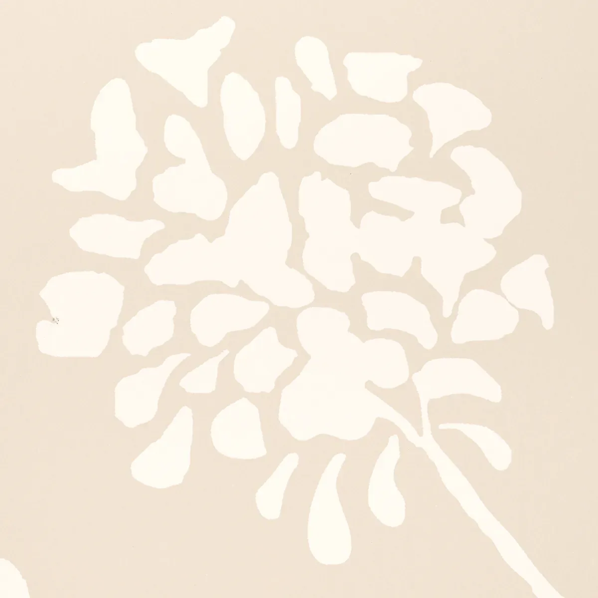 PENNICK NEUTRAL Schumacher Wallpaper wallpaper - SKU 5010541