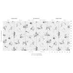 PILAR PANEL SET - GRISAILLE Schumacher Wallpaper | Wallpaper PILAR PANEL SET GRISAILLE Schumacher Wallpaper wallpaper - SKU 5015110