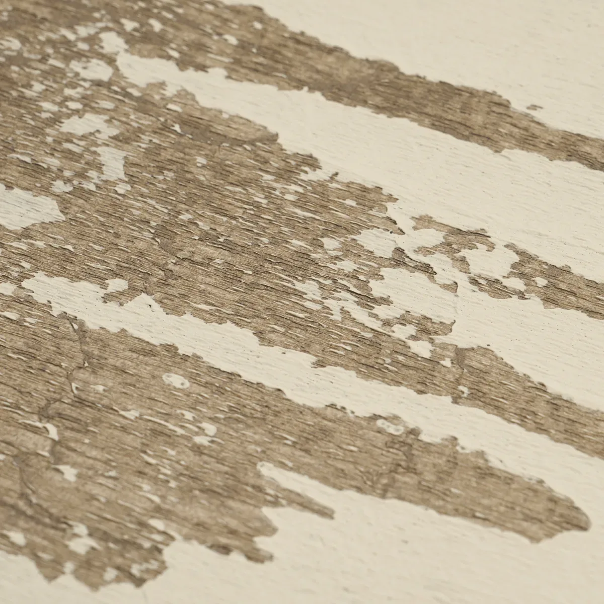 PLASTERED MANUSCRIPT BIRCH Schumacher Wallpaper wallpaper - SKU 5015330
