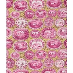 PLATES & PLATTERS MAGENTA & YELLOW Schumacher Wallpaper wallpaper - SKU 5010412