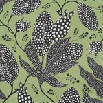 POLKA DOT JUNGLE BLACK & GREEN Schumacher Wallpaper wallpaper - SKU 5015460