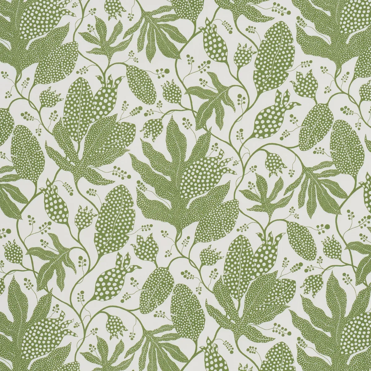 POLKA DOT JUNGLE GREEN & IVORY Schumacher Wallpaper wallpaper - SKU 5015463
