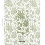 POLKA DOT JUNGLE GREEN & IVORY Schumacher Wallpaper wallpaper - SKU 5015463