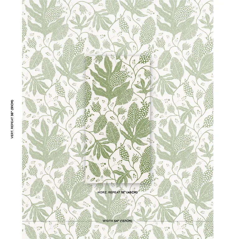 color GREEN & IVORY