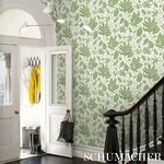 POLKA DOT JUNGLE GREEN & IVORY Schumacher Wallpaper wallpaper - SKU 5015463