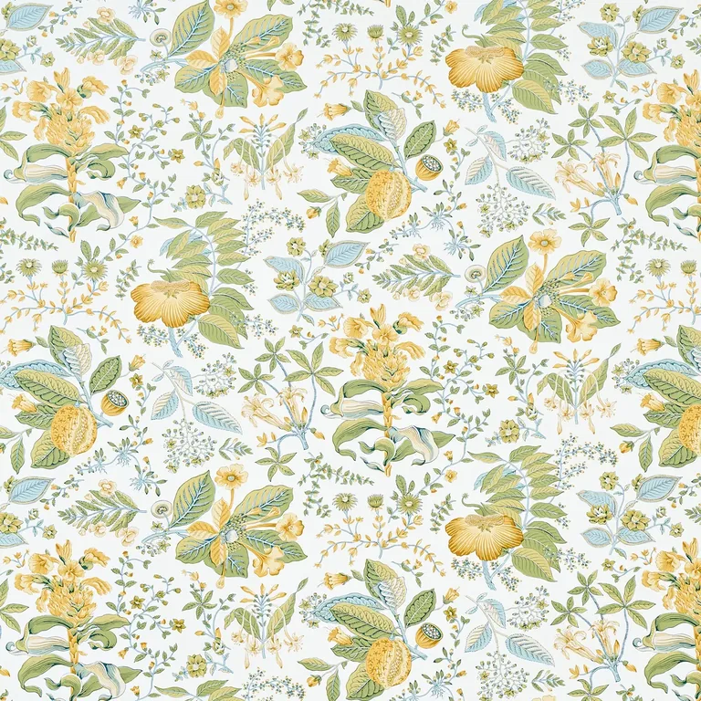 Schumacher POMEGRANATE BOTANICAL wallpaper