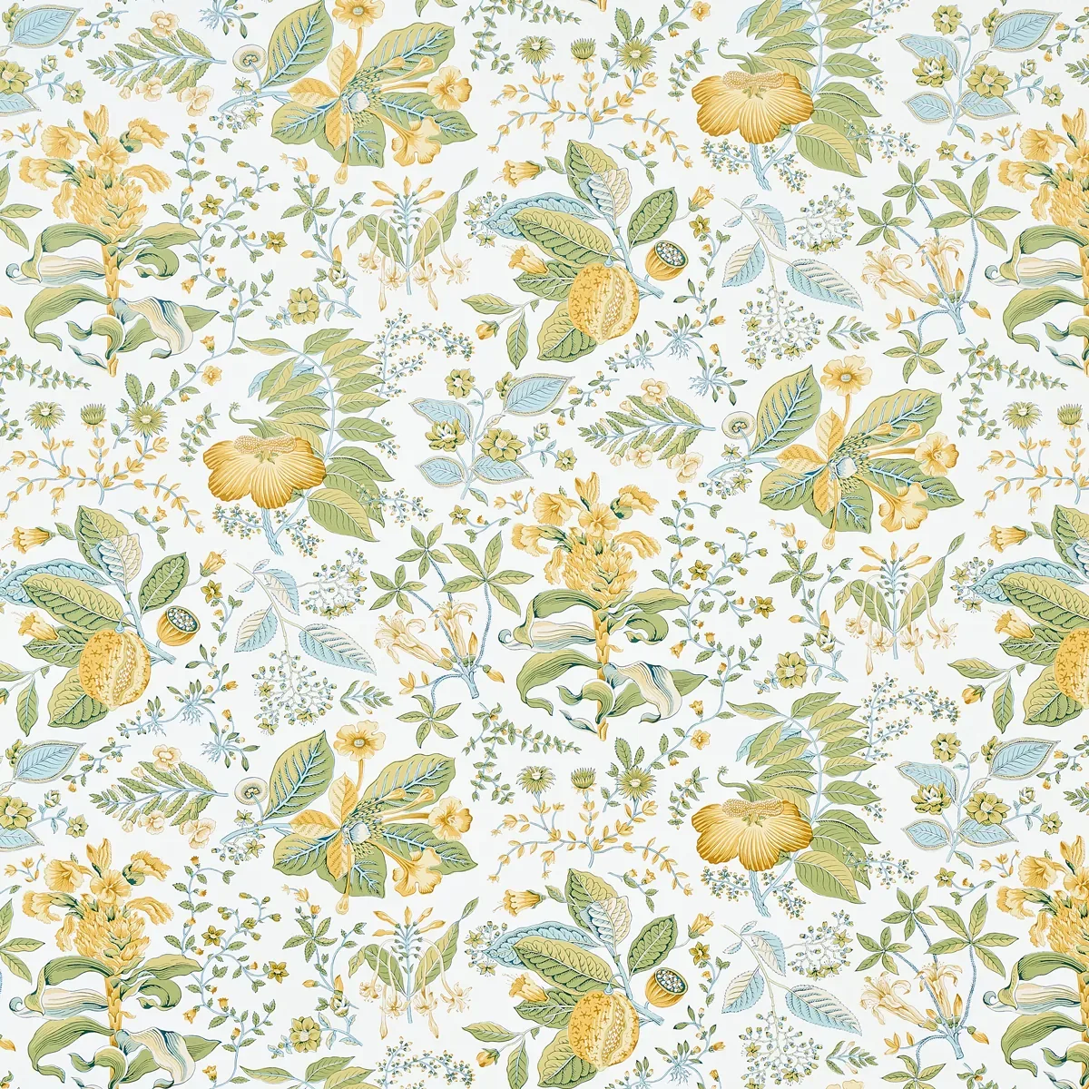 POMEGRANATE BOTANICAL CITRON Schumacher Wallpaper wallpaper - SKU 5010442