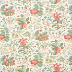 POMEGRANATE BOTANICAL - DOCUMENT Schumacher Wallpaper | Wall POMEGRANATE BOTANICAL DOCUMENT Schumacher Wallpaper wallpaper - SKU 5010441