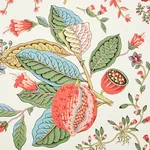 POMEGRANATE BOTANICAL - DOCUMENT Schumacher Wallpaper | Wall POMEGRANATE BOTANICAL DOCUMENT Schumacher Wallpaper wallpaper - SKU 5010441