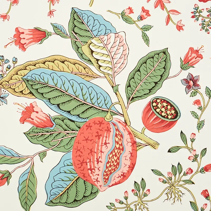 POMEGRANATE BOTANICAL - DOCUMENT Schumacher Wallpaper | Wall POMEGRANATE BOTANICAL DOCUMENT Schumacher Wallpaper wallpaper - SKU 5010441