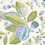 POMEGRANATE BOTANICAL - PURPLE Schumacher Wallpaper | Wallpa POMEGRANATE BOTANICAL PURPLE Schumacher Wallpaper wallpaper - SKU 5010440