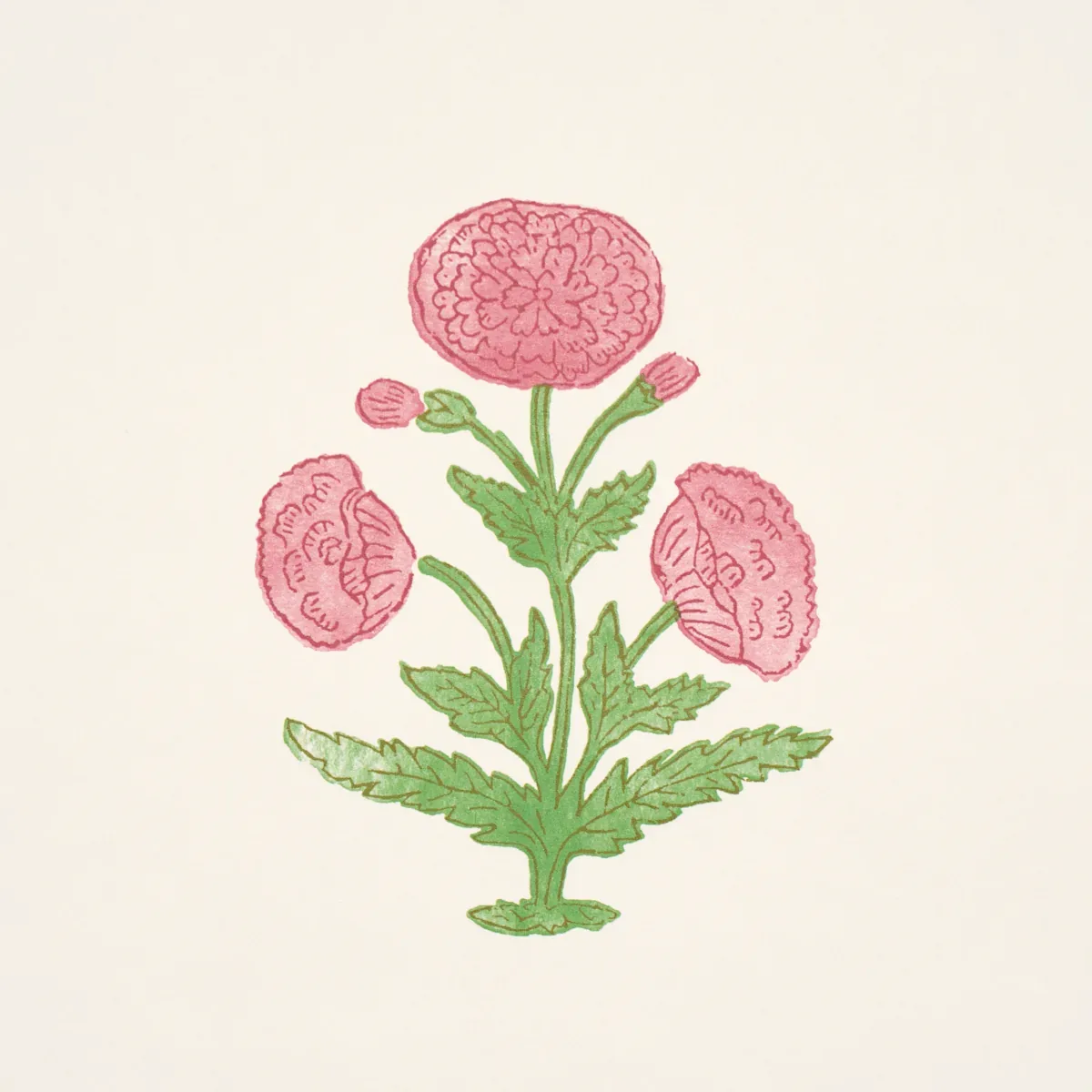 Poppy Print - ROSE & GRASS Schumacher Wallpaper | Wallpaper Poppy Print ROSE & GRASS Schumacher Wallpaper wallpaper - SKU 5017980