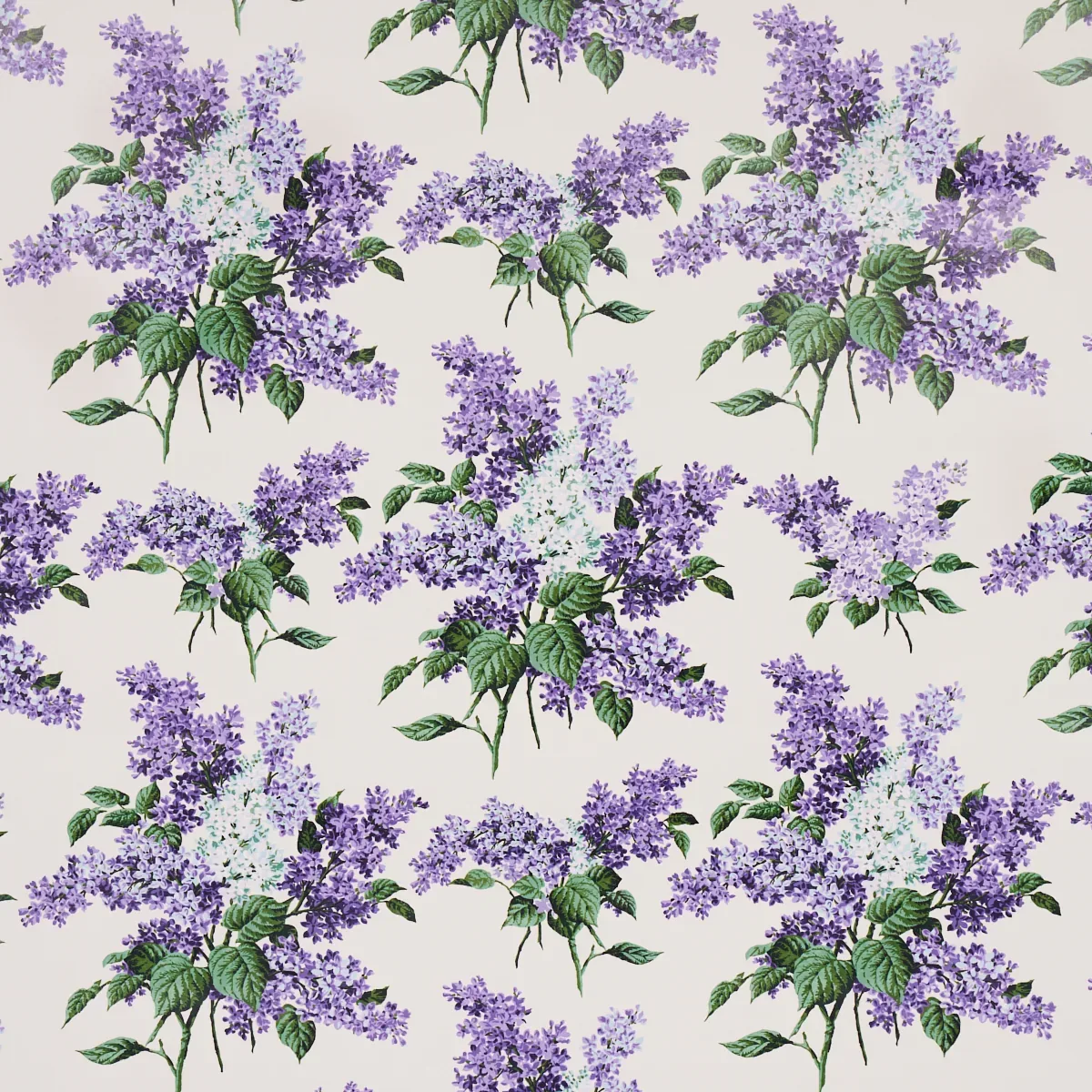 5014310 | PROUST’S LILACS – PURPLE