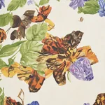 PYNE BUTTERFLY - MONARCH ORANGE Schumacher Wallpaper | Wallp PYNE BUTTERFLY MONARCH ORANGE Schumacher Wallpaper wallpaper - SKU 5016380