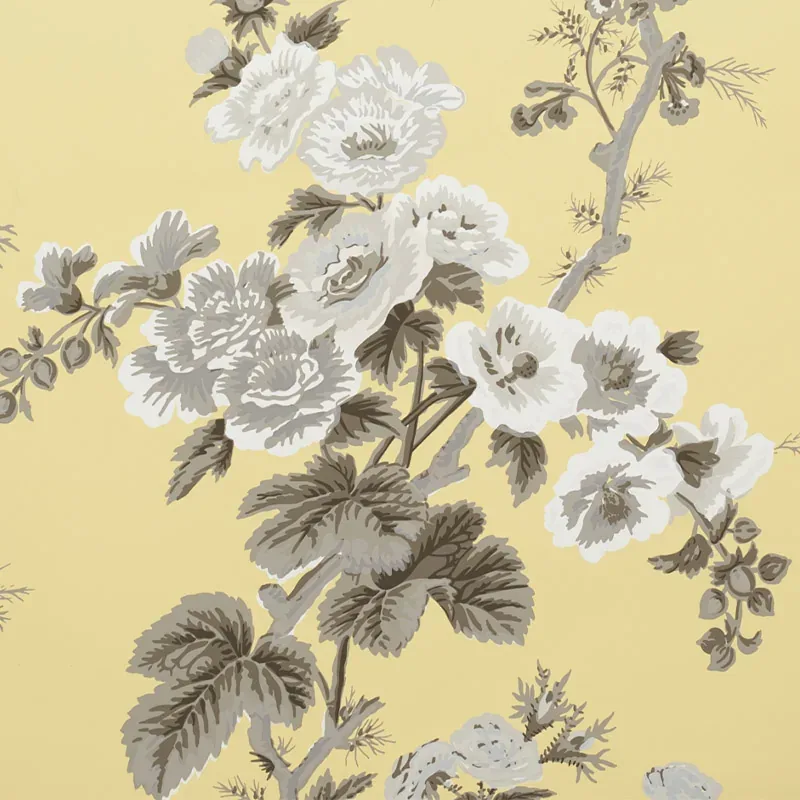 5006925 | PYNE HOLLYHOCK – BUTTERCUP