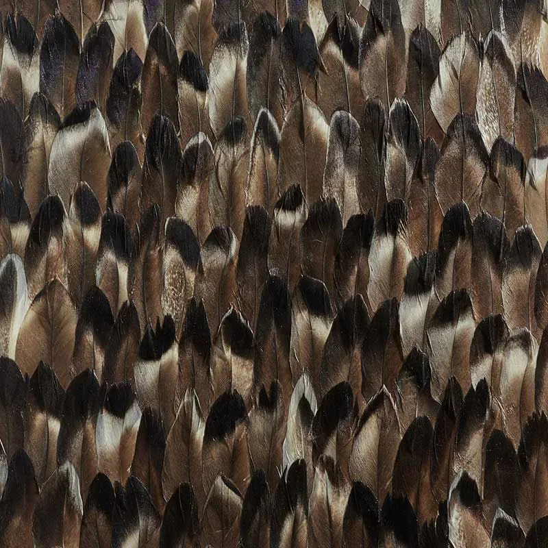 PYRITE BLACK SMOKE Schumacher Wallpaper wallpaper - SKU 5008382