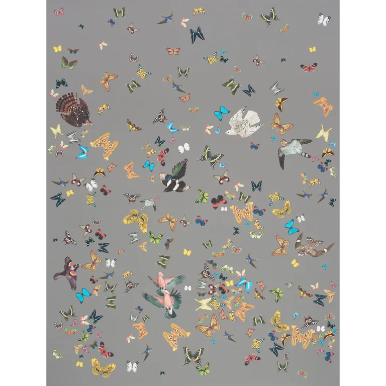 Schumacher QUEEN'S FLIGHT PANEL SET wallpaper, color GREY, SKU 5010862