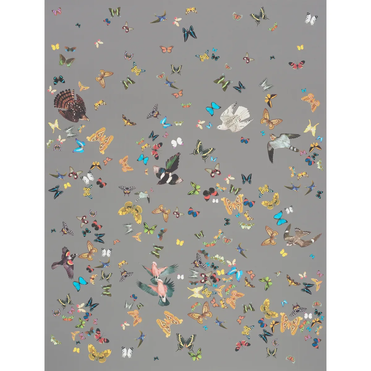 QUEEN'S FLIGHT PANEL SET GREY Schumacher Wallpaper wallpaper - SKU 5010862