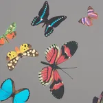 QUEEN'S FLIGHT PANEL SET - GREY Schumacher Wallpaper | Wallp QUEEN'S FLIGHT PANEL SET GREY Schumacher Wallpaper wallpaper - SKU 5010862