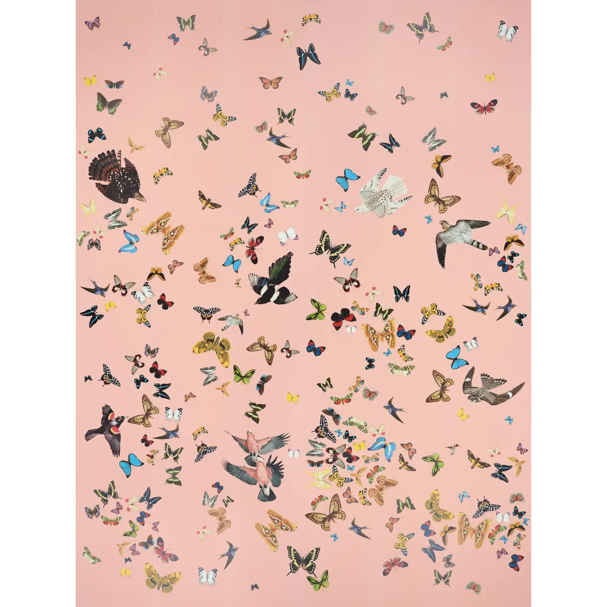 QUEEN'S FLIGHT PANEL SET PINK Schumacher Wallpaper wallpaper - SKU 5010864