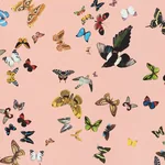QUEEN'S FLIGHT PANEL SET PINK Schumacher Wallpaper wallpaper - SKU 5010864