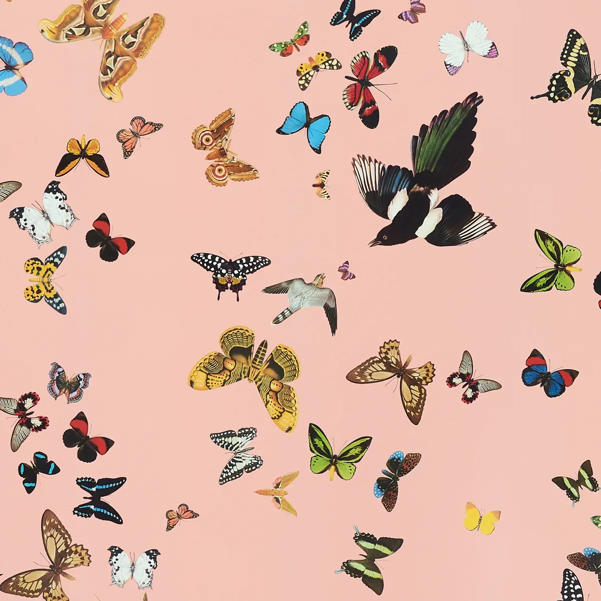 QUEEN'S FLIGHT PANEL SET PINK Schumacher Wallpaper wallpaper - SKU 5010864