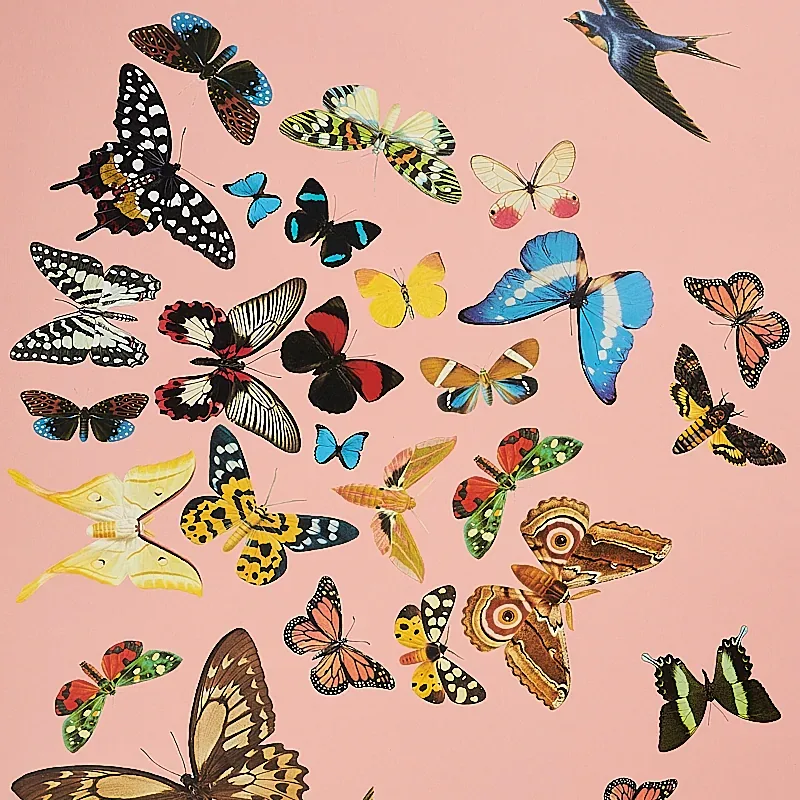 QUEEN'S FLIGHT PANEL SET PINK Schumacher Wallpaper wallpaper - SKU 5010864