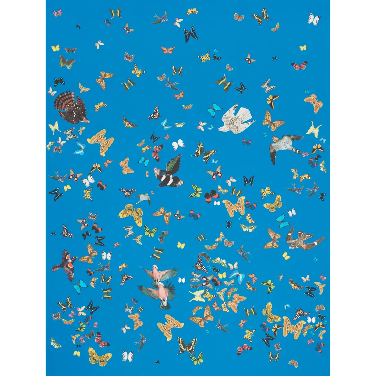QUEEN'S FLIGHT PANEL SET ROYAL BLUE Schumacher Wallpaper wallpaper - SKU 5010861