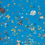 QUEEN'S FLIGHT PANEL SET ROYAL BLUE Schumacher Wallpaper wallpaper - SKU 5010861