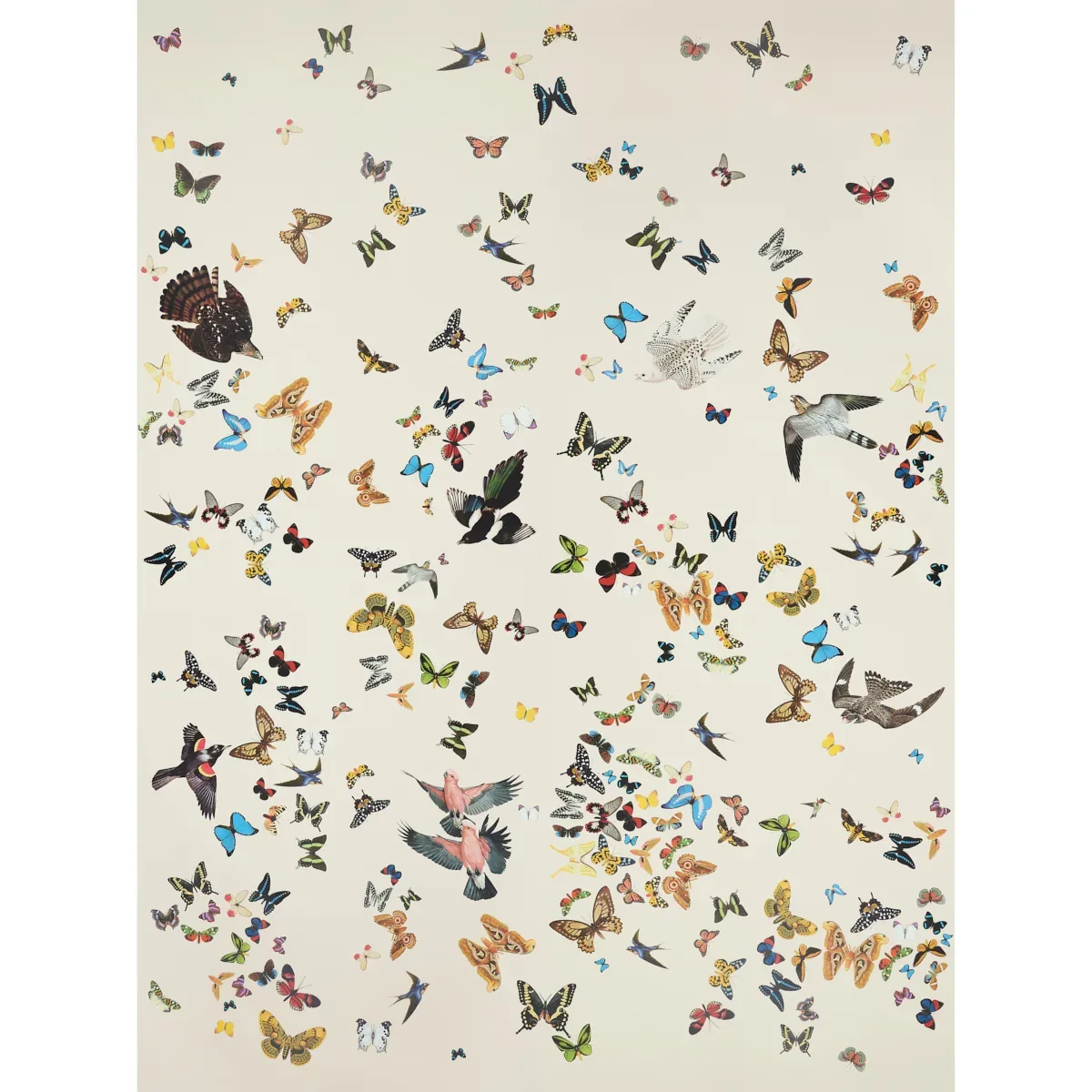 QUEEN'S FLIGHT PANEL SET SAND Schumacher Wallpaper wallpaper - SKU 5010866