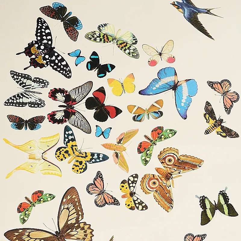 QUEEN'S FLIGHT PANEL SET SAND Schumacher Wallpaper wallpaper - SKU 5010866