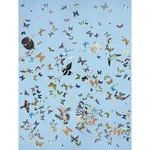 QUEEN'S FLIGHT PANEL SET - SKY Schumacher Wallpaper | Wallpa QUEEN'S FLIGHT PANEL SET SKY Schumacher Wallpaper wallpaper - SKU 5010865