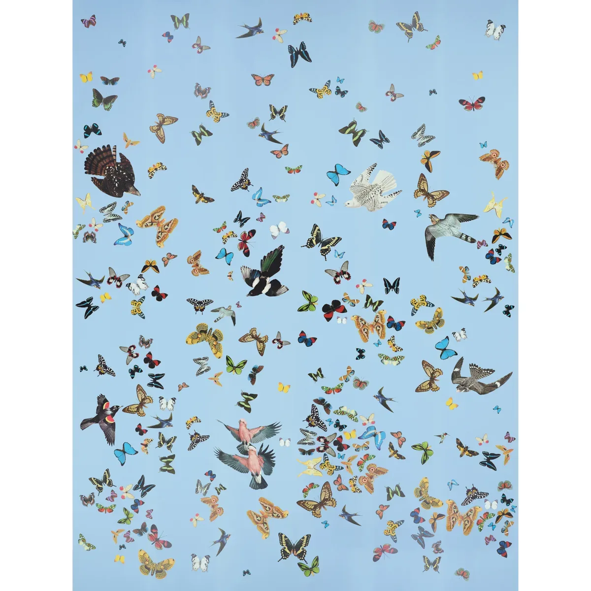 QUEEN'S FLIGHT PANEL SET SKY Schumacher Wallpaper wallpaper - SKU 5010865