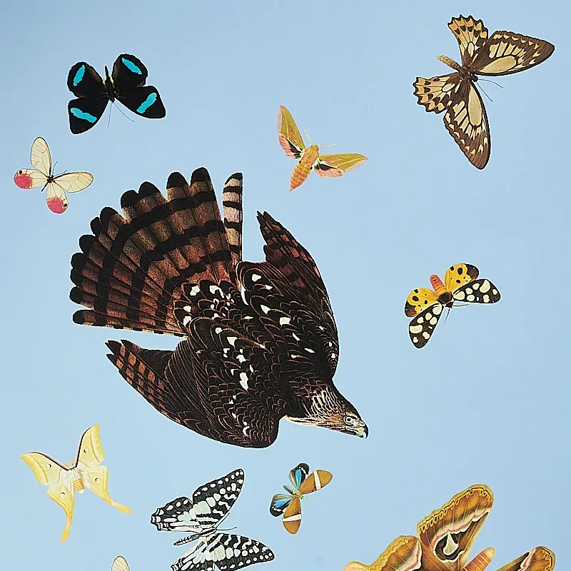 QUEEN'S FLIGHT PANEL SET - SKY Schumacher Wallpaper | Wallpa QUEEN'S FLIGHT PANEL SET SKY Schumacher Wallpaper wallpaper - SKU 5010865
