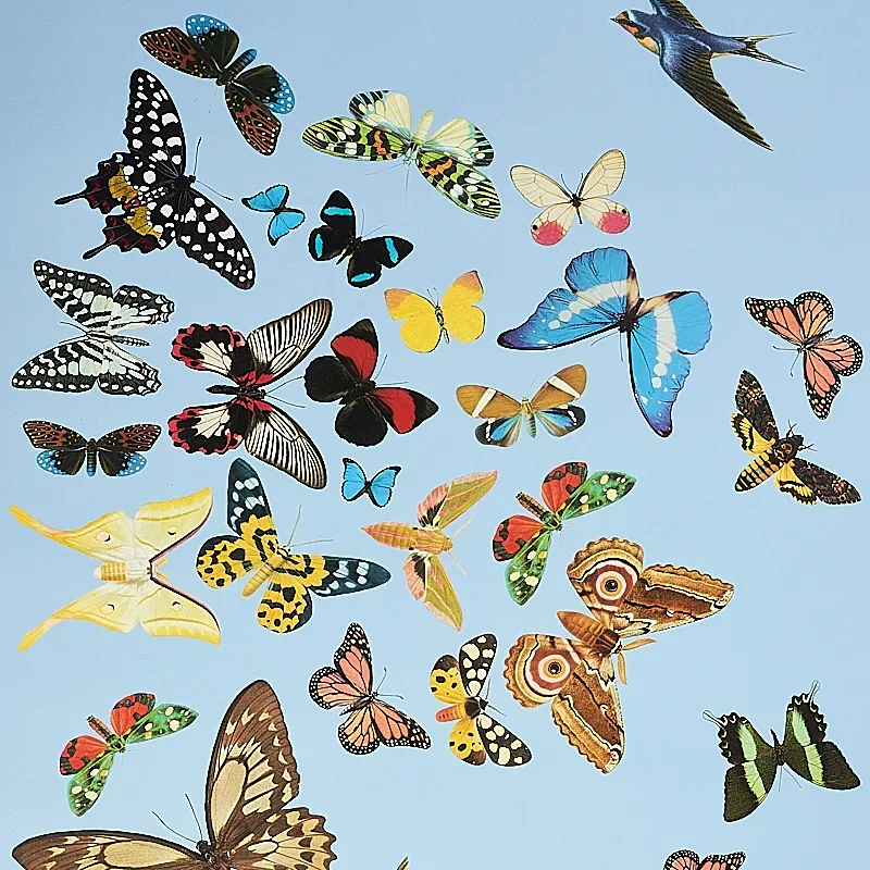QUEEN'S FLIGHT PANEL SET - SKY Schumacher Wallpaper | Wallpa QUEEN'S FLIGHT PANEL SET SKY Schumacher Wallpaper wallpaper - SKU 5010865