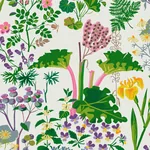 RABARBER - IVORY MULTI Schumacher Wallpaper | Wallpaper Twin RABARBER IVORY MULTI Schumacher Wallpaper wallpaper - SKU 1792