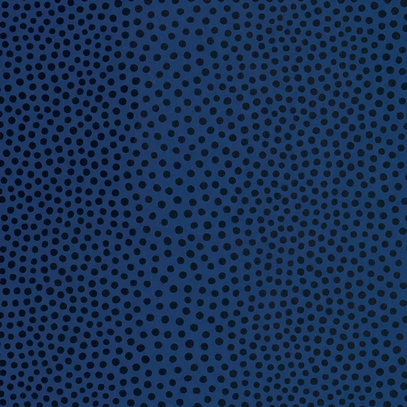 5007504 | RAINDOTS – MARINE NOIR